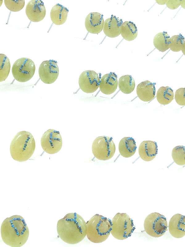 get_what_you_need_market_7