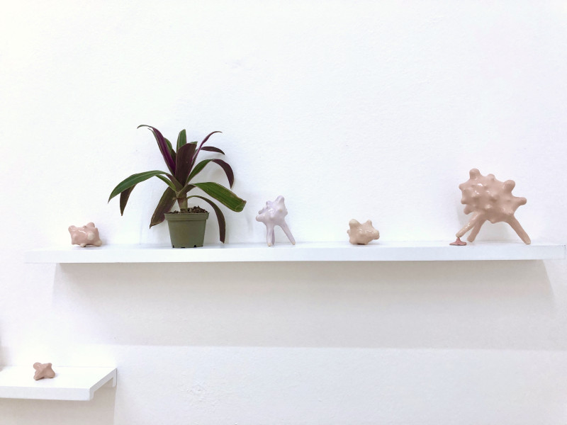 get_what_you_need_market_5