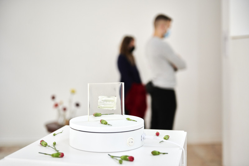 LindenowKunstraumFestival_by_WaltherLeKon_Top100_44