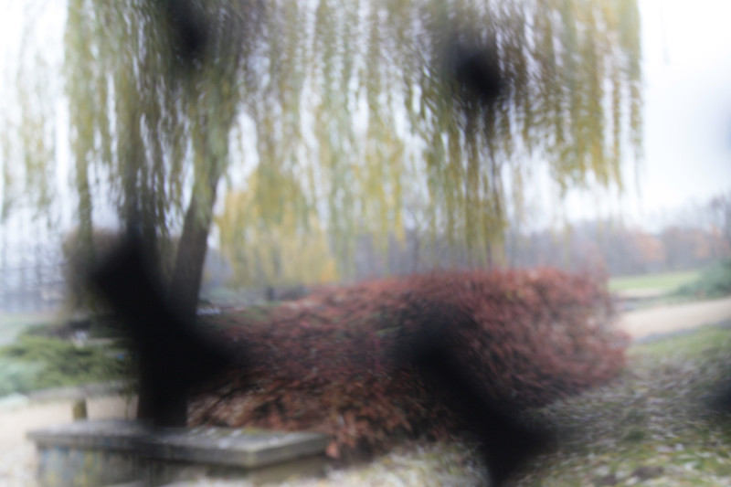 spots-6-burka-smiley